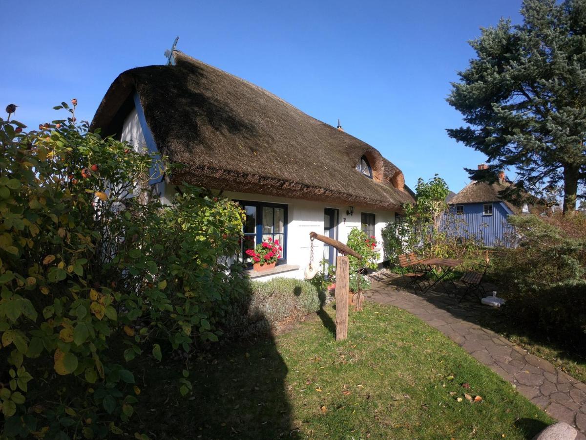 Landhaus Darss Wieck Exterior photo