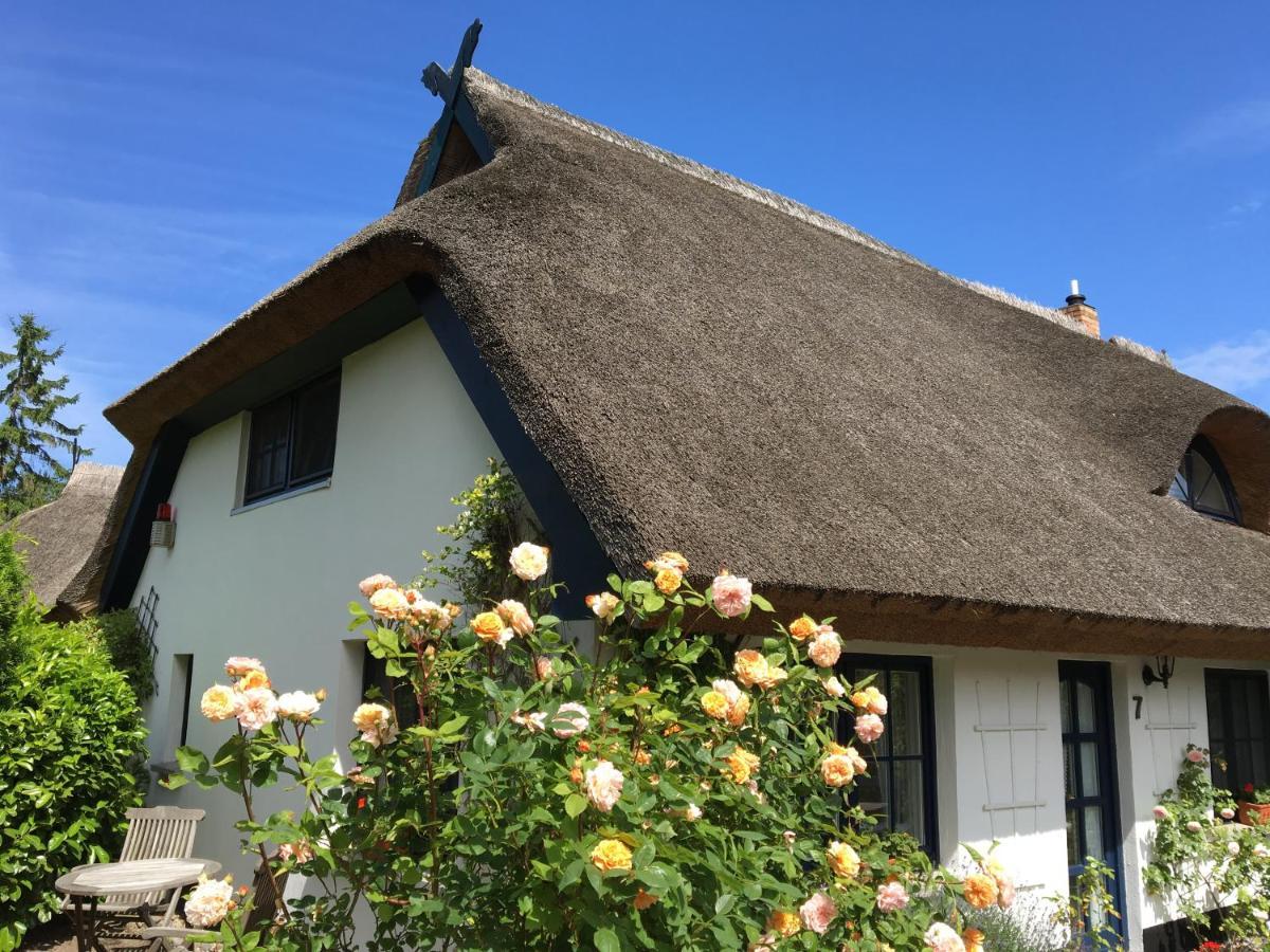 Landhaus Darss Wieck Exterior photo