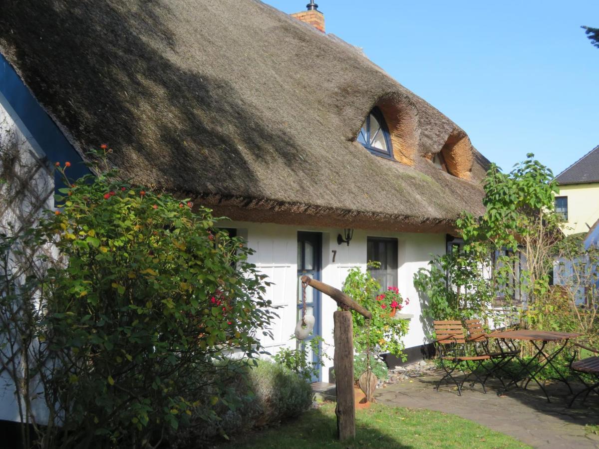 Landhaus Darss Wieck Exterior photo