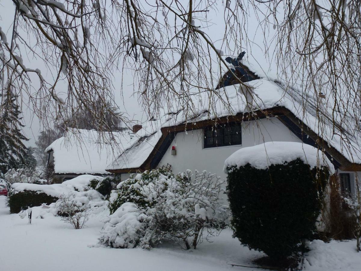 Landhaus Darss Wieck Exterior photo